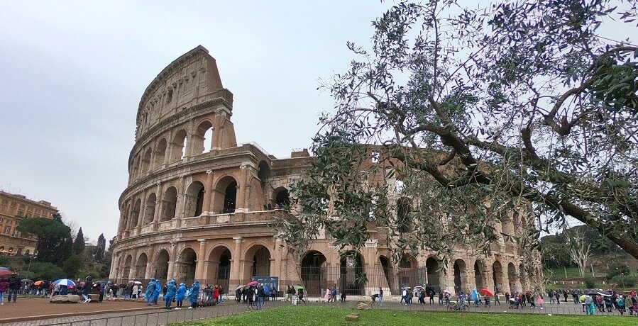 the rome colosseum